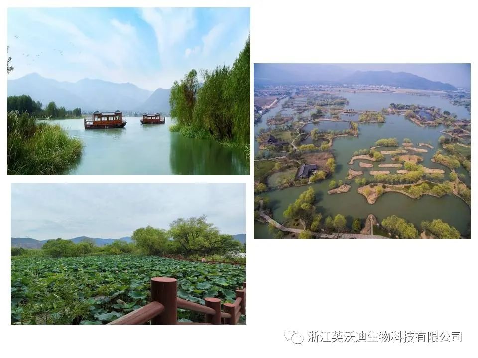 1667790930966580.jpg 微信圖片_20221107105616.jpg